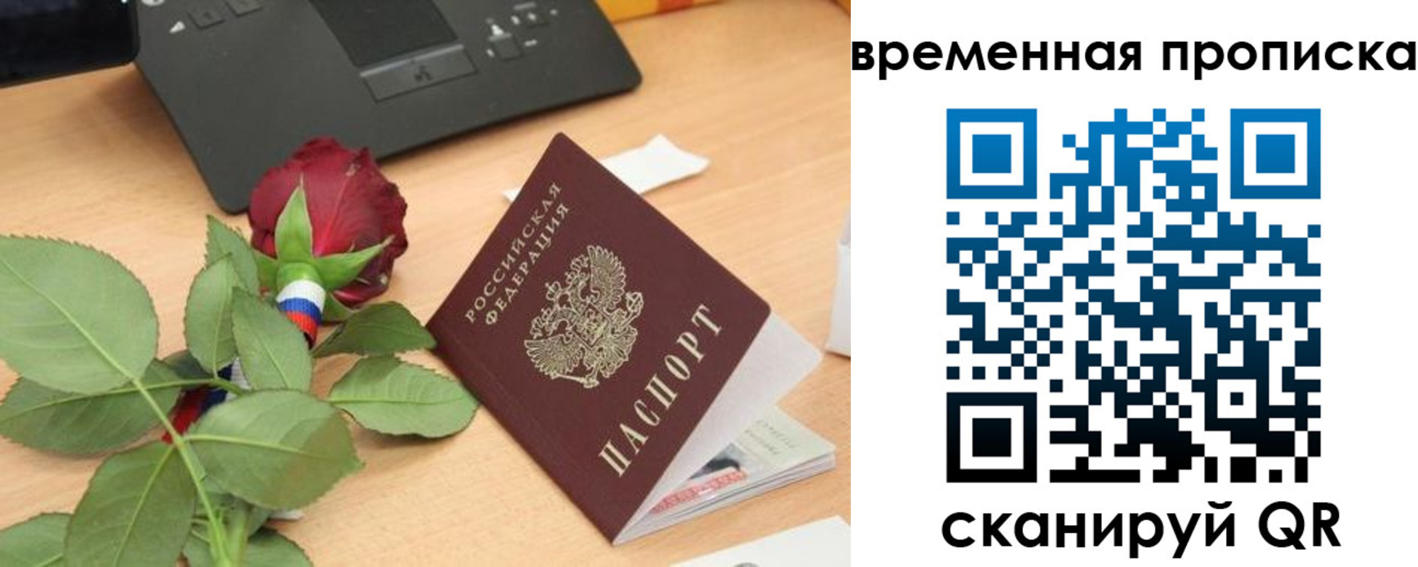 временная регистрация поиск в Долгопрудном